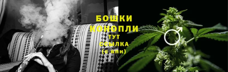 Бошки марихуана Ganja  МЕГА ТОР  Краснознаменск 